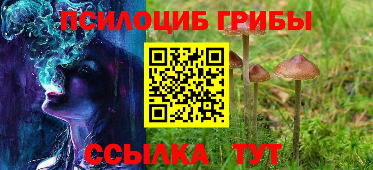 Псилоцибиновые грибы мицелий  Вход с VPN  Вольск 